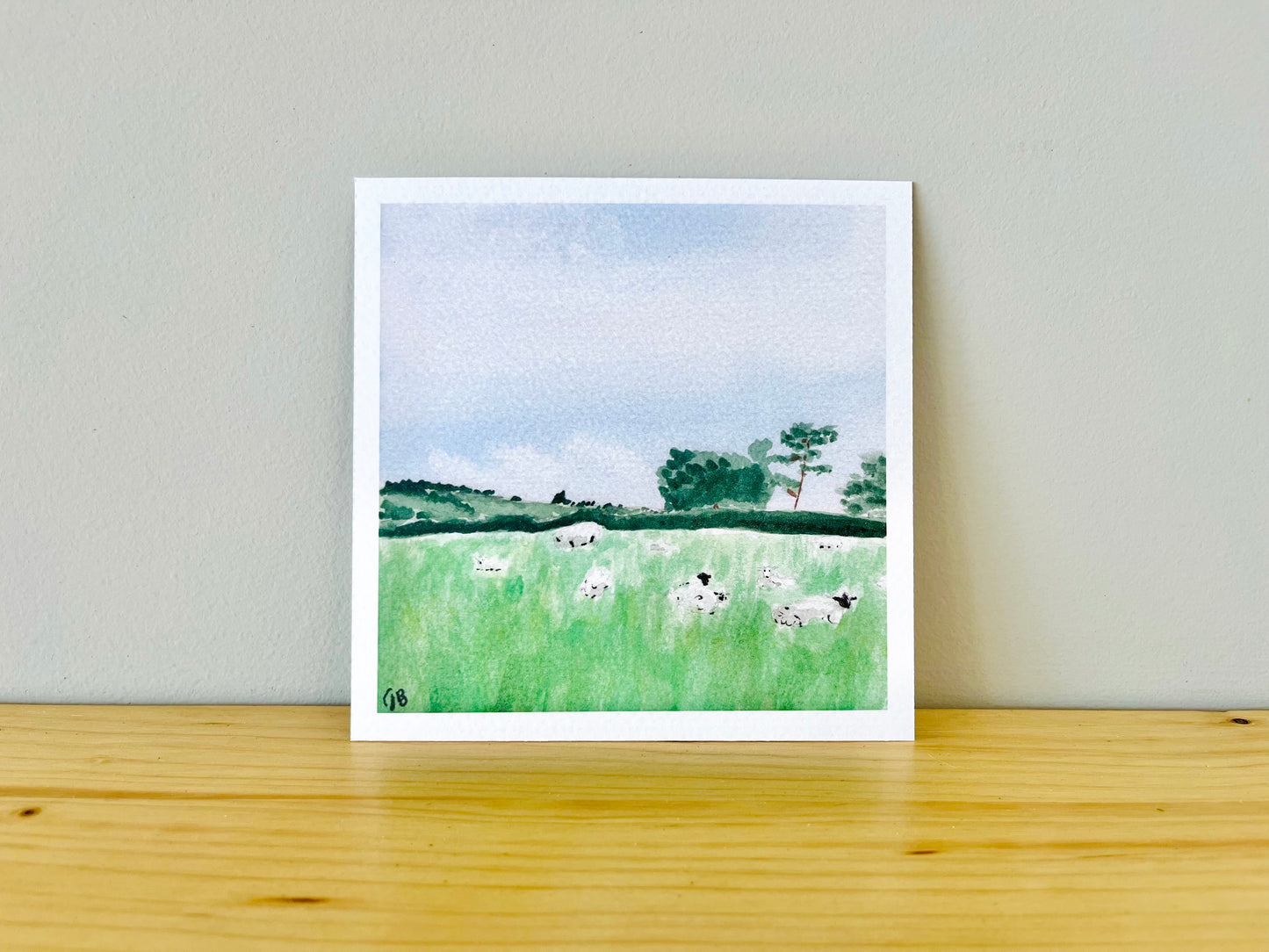 Cotswolds Sheep | 5x5" Watercolor Fine Art Print