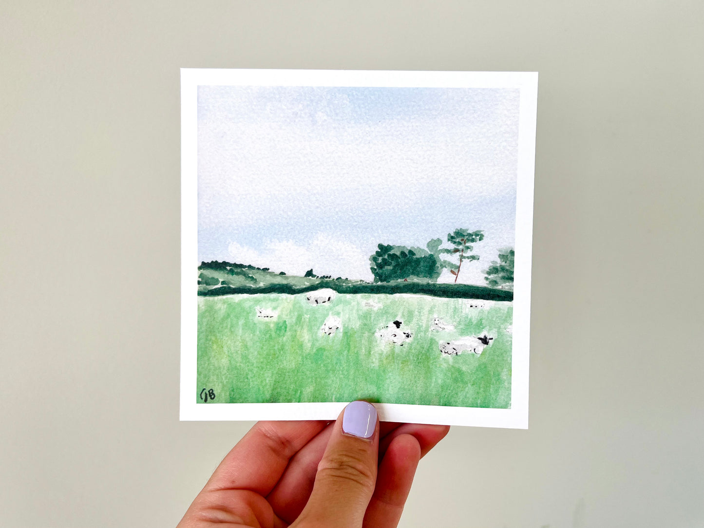 Cotswolds Sheep | 5x5" Watercolor Fine Art Print